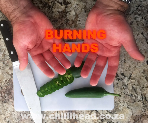 How to stop burning hands from Chillies
